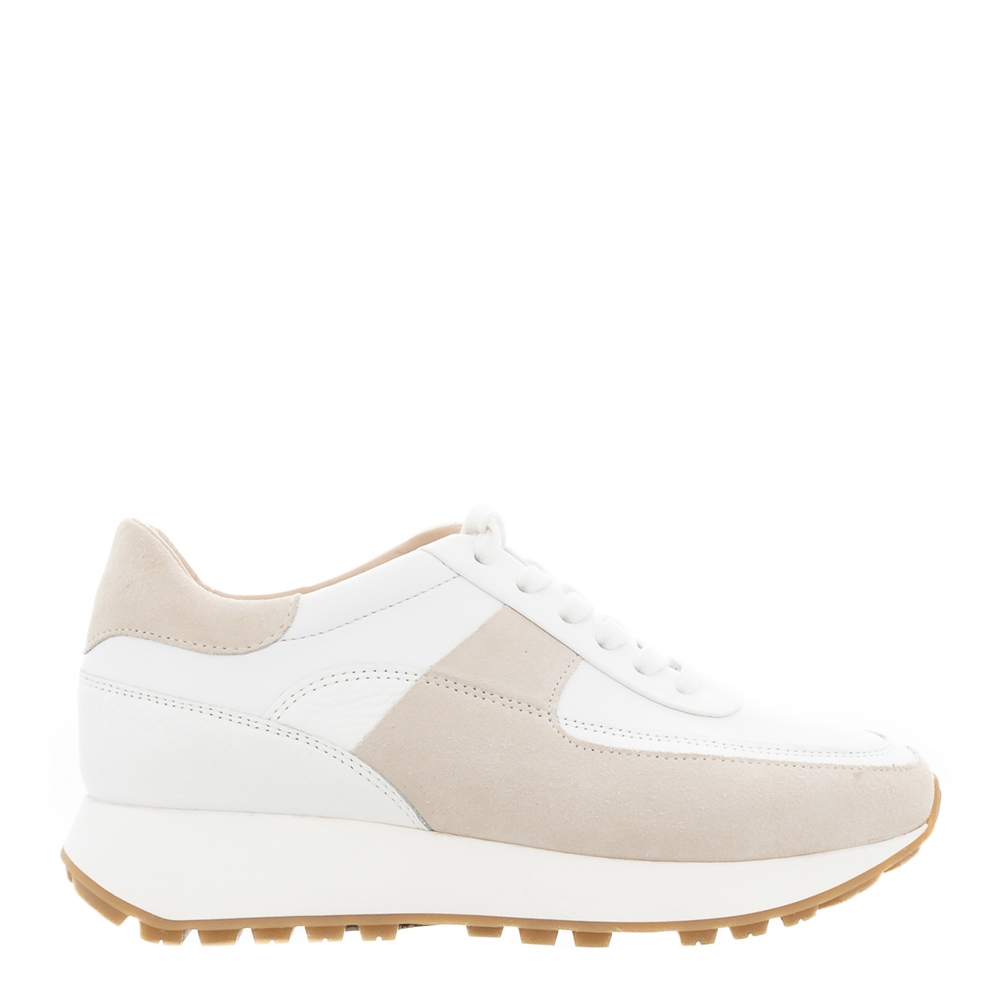 Carl Scarpa Polo White and Beige Leather Trainers | Jarrold, Norwich